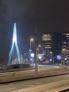 IMG 0142