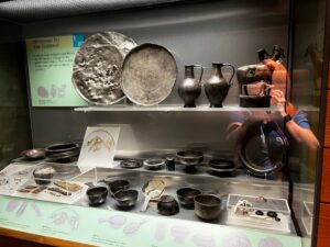 IMG 4551