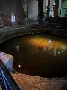 IMG 4593